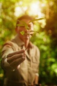 Environmental and informal science education MS