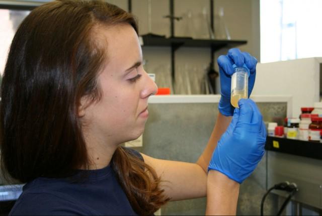 Student looking at a liquid in a container