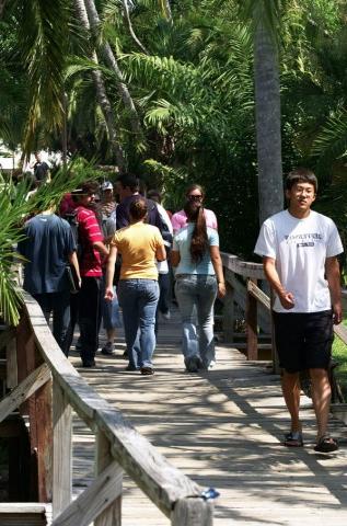 Students walking over a bridge