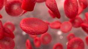 red blood cells